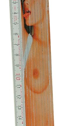 Folding Ruler "Girl" 2m