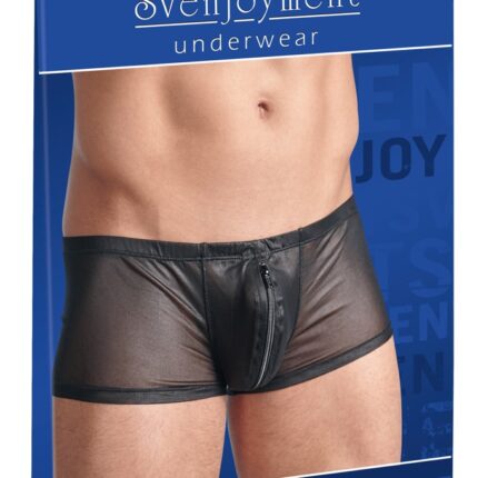 Men's Pants L