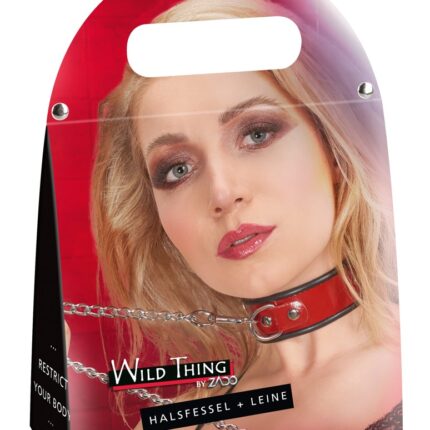 Leather Collar and Leash
