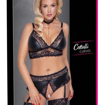 Bra and Suspender Briefs XL